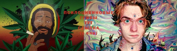 PSILOCYBIN Верхний Тагил