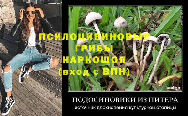 PSILOCYBIN Верхний Тагил