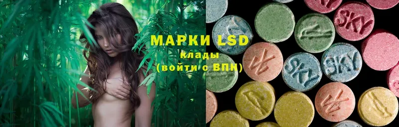 мега как войти  Нефтекамск  Лсд 25 экстази ecstasy 